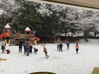早速雪遊び
