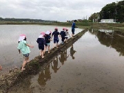 田植えに行って来ました！(太陽組)